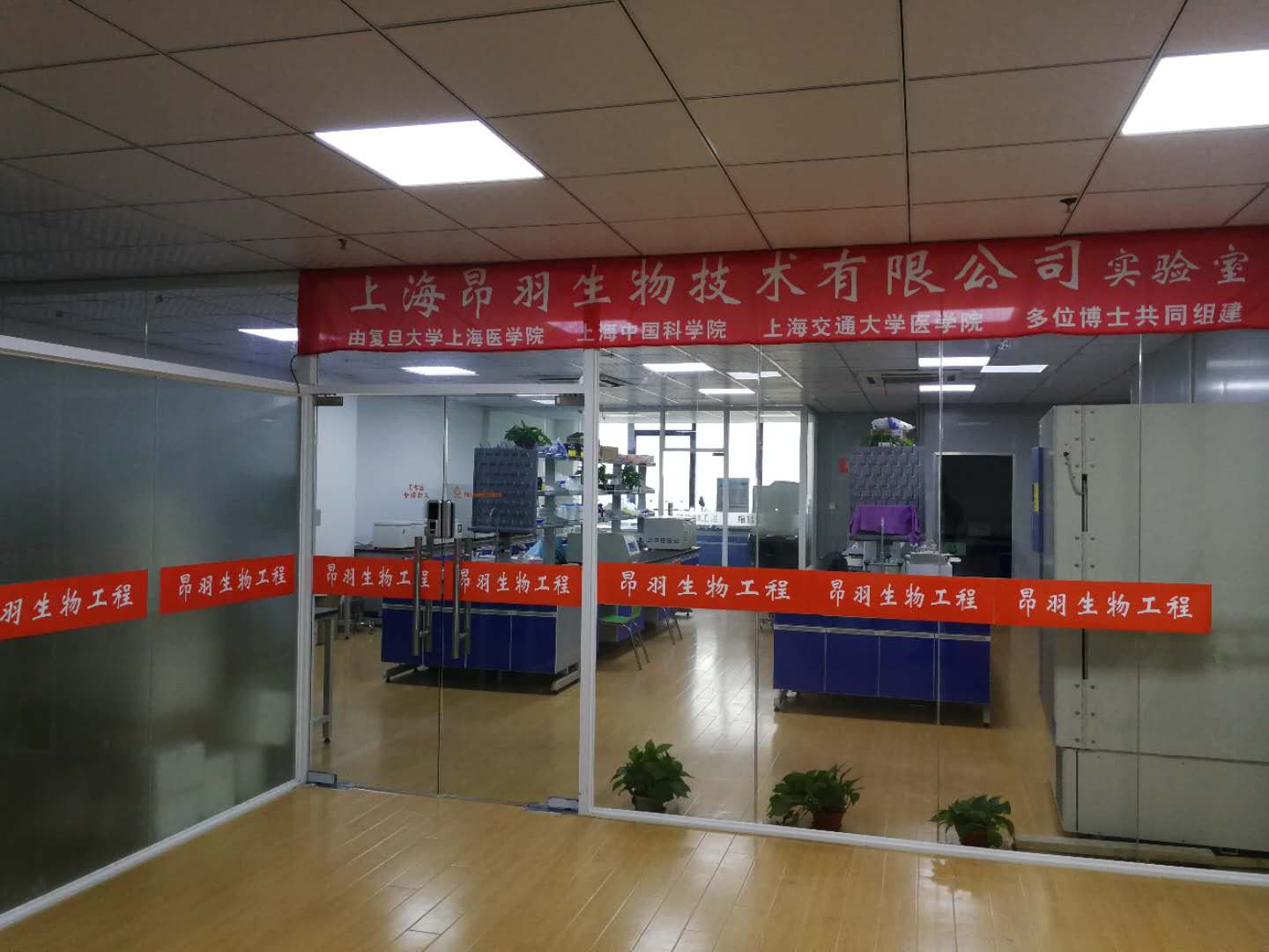11Ҵ[-1